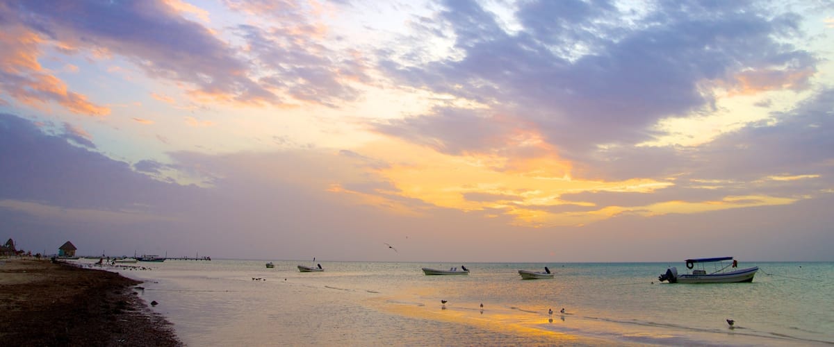 Isla Holbox showing general coastal views, a sunset and landscape views