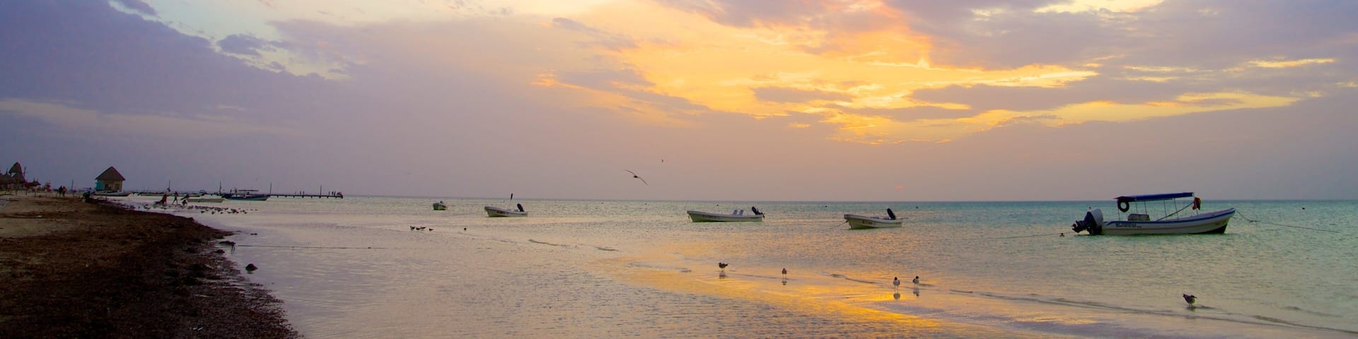 Isla Holbox showing landscape views, boating and a sunset