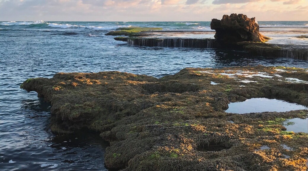 This unique rock formation can be found at Number 16 Beach in the Mornington Peninsula, which is about an hour and a half drive from Melbourne. Be sure to visit at low tide for the best viewing. #SMDdoesOZ #MorningtonPeninsula #Australia