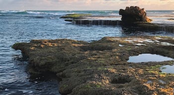 This unique rock formation can be found at Number 16 Beach in the Mornington Peninsula, which is about an hour and a half drive from Melbourne. Be sure to visit at low tide for the best viewing. #SMDdoesOZ #MorningtonPeninsula #Australia