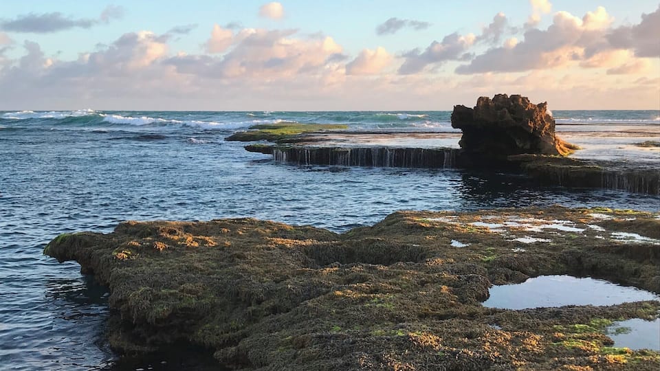 This unique rock formation can be found at Number 16 Beach in the Mornington Peninsula, which is about an hour and a half drive from Melbourne. Be sure to visit at low tide for the best viewing. #SMDdoesOZ #MorningtonPeninsula #Australia