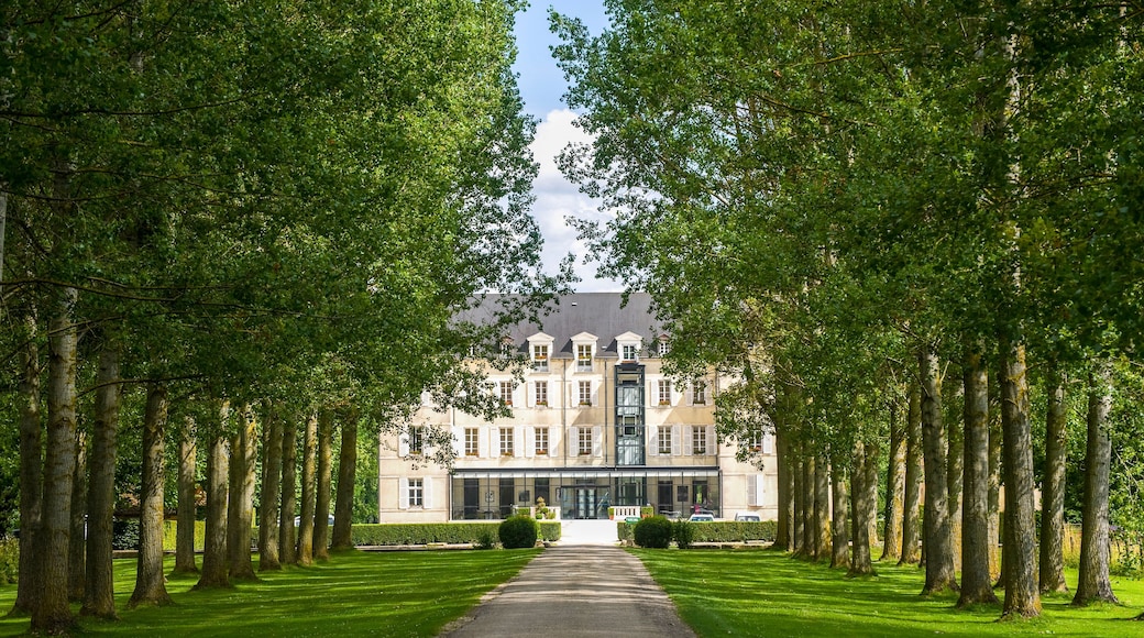 Castle of Saulon-la-Rue