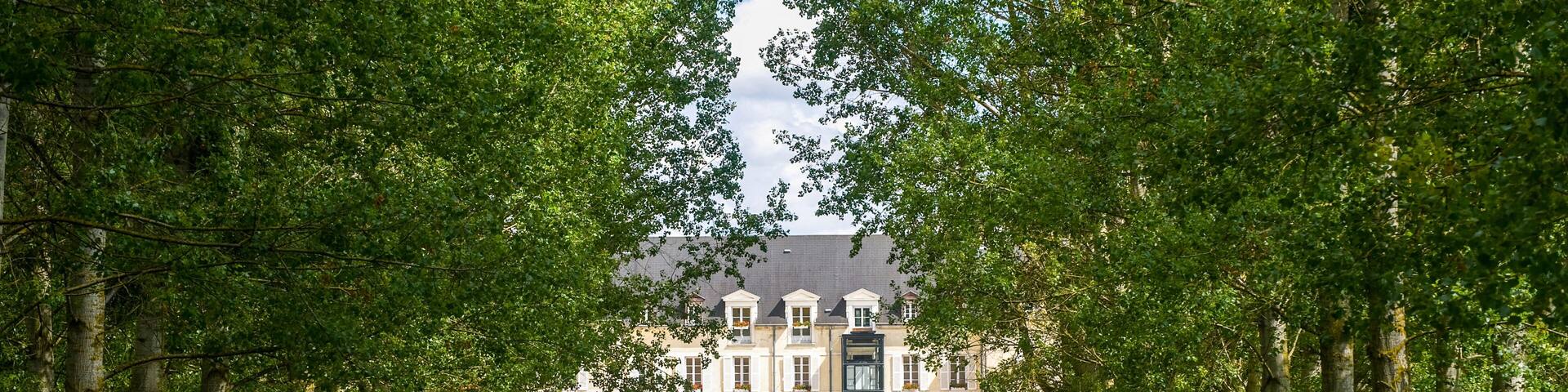 Castle of Saulon-la-Rue