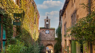 Un estrecho callejón adoquinado flanqueado por edificios cubiertos de hiedra, que conduce a una torre con un reloj.