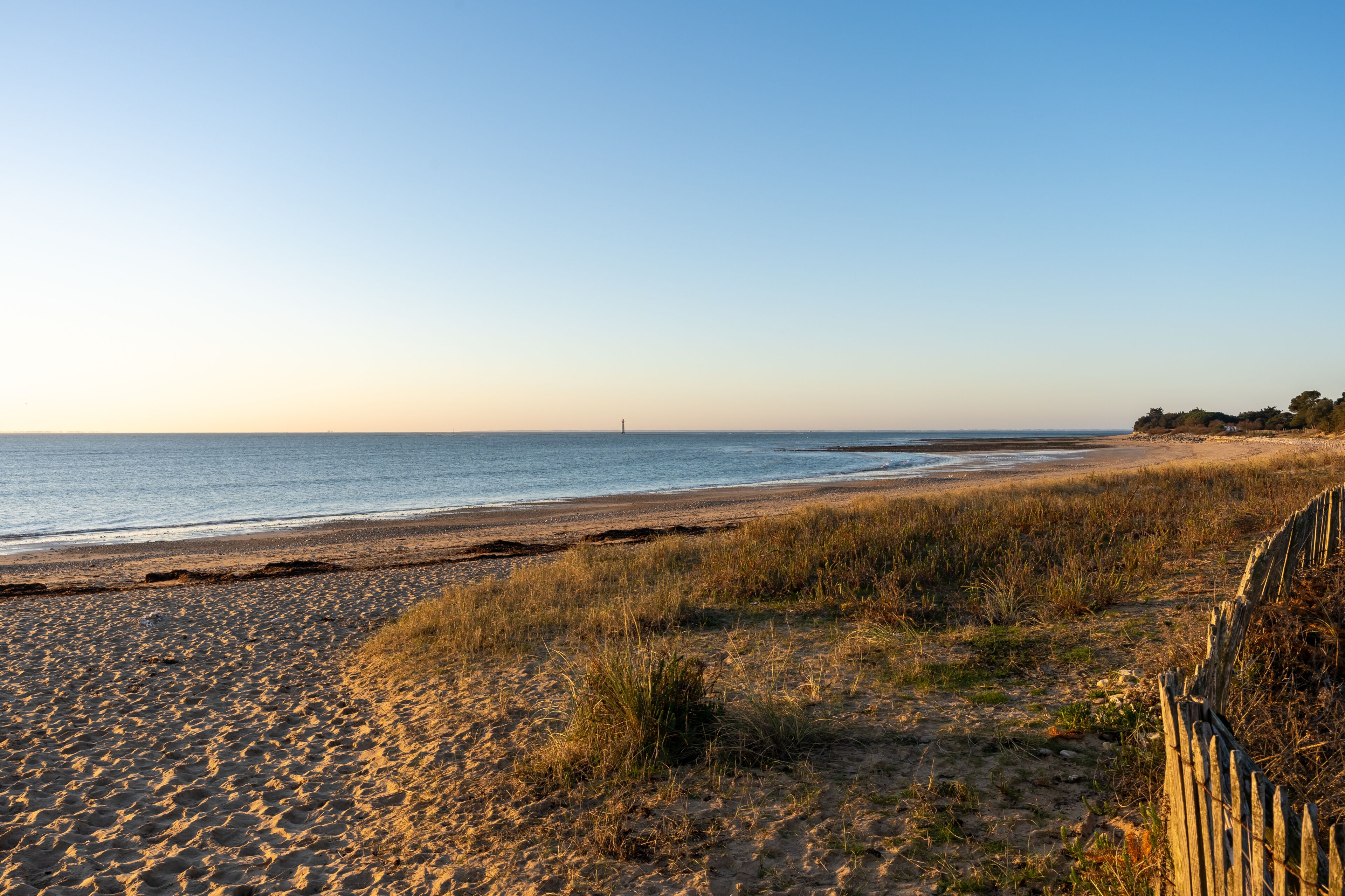 Rivedoux-plage Beach through dunes in ile de re in french country island