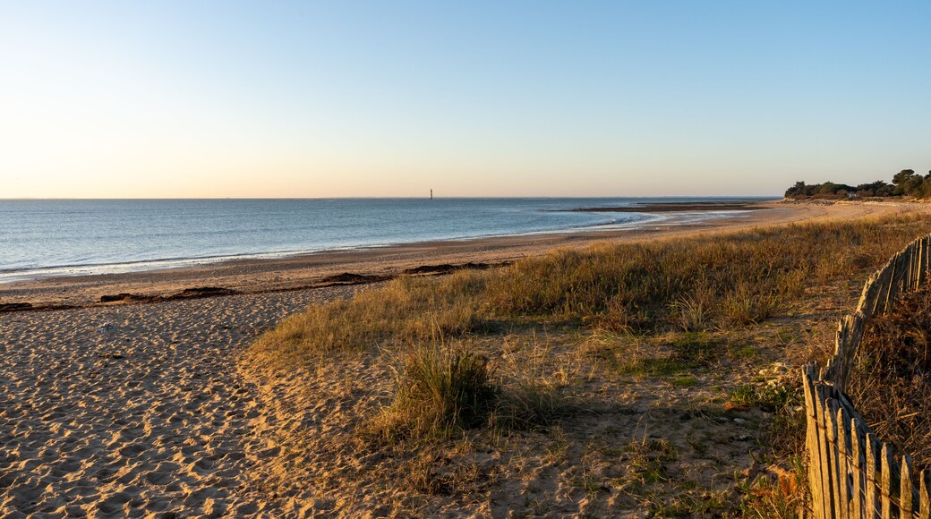 Rivedoux-plage Beach through dunes in ile de re in french country island
