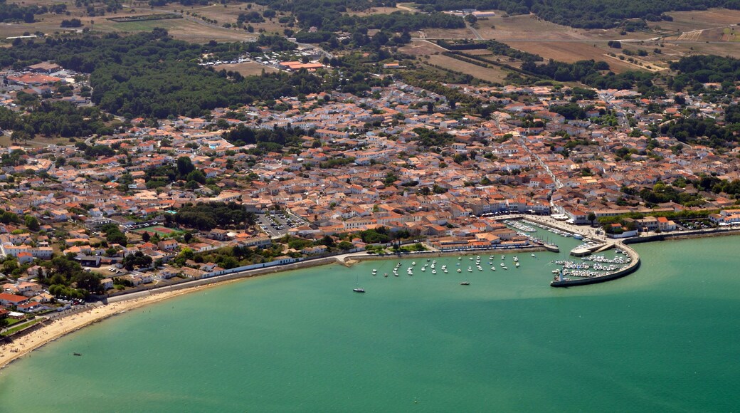 La flotte vu du ciel - ile de Ré