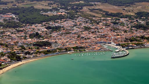 La flotte vu du ciel - ile de Ré