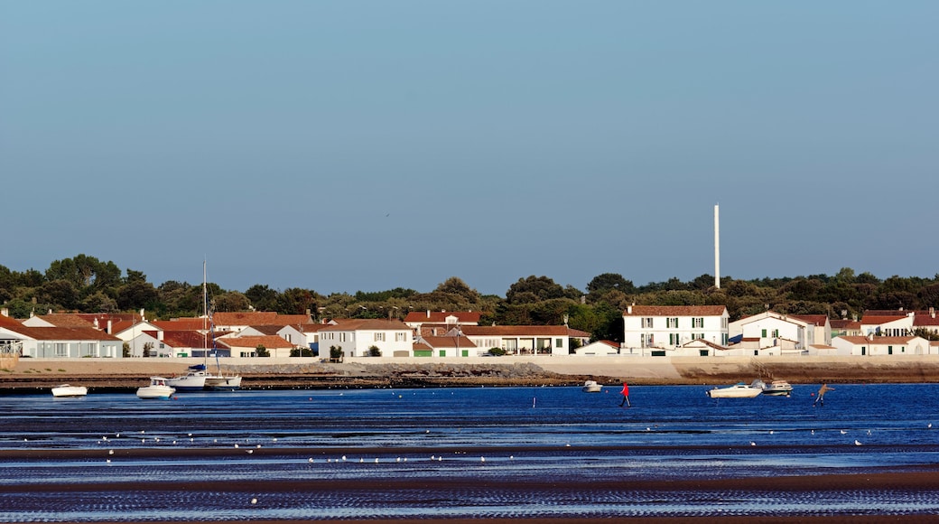 Rivedoux-Plage