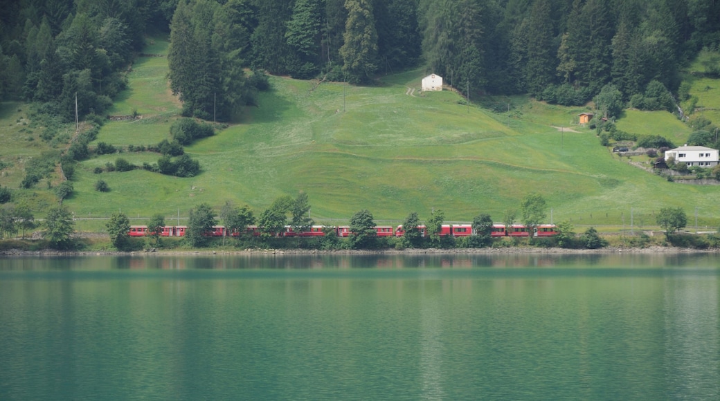 Switzerland, Graubünden, impressions along Lago di Poschiavo