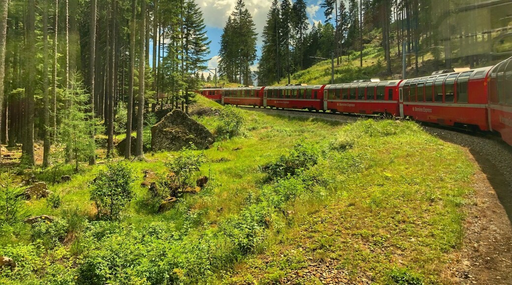 Riding the Brenina Express through the Swiss Alps