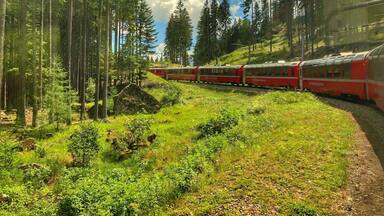 Um trem vermelho atravessa uma área florestada, com árvores altas e céu claro.