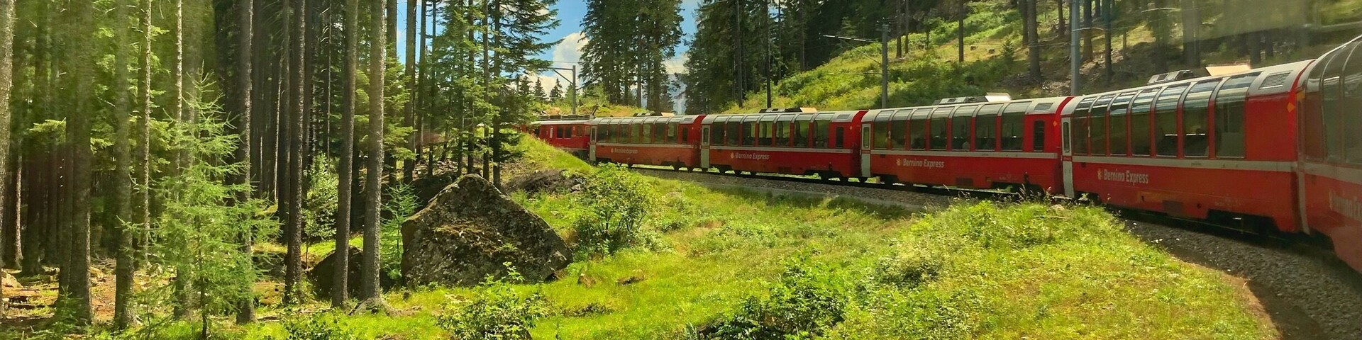 Un tren rojo viajando por una zona boscosa con árboles altos y cielo despejado.