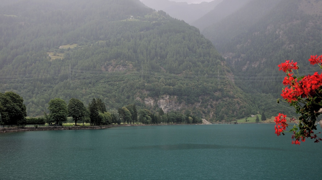 Switzerland, Graubünden, impressions along Lago di Poschiavo
