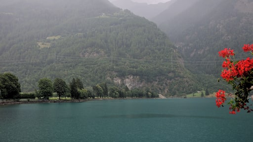 Switzerland, Graubünden, impressions along Lago di Poschiavo