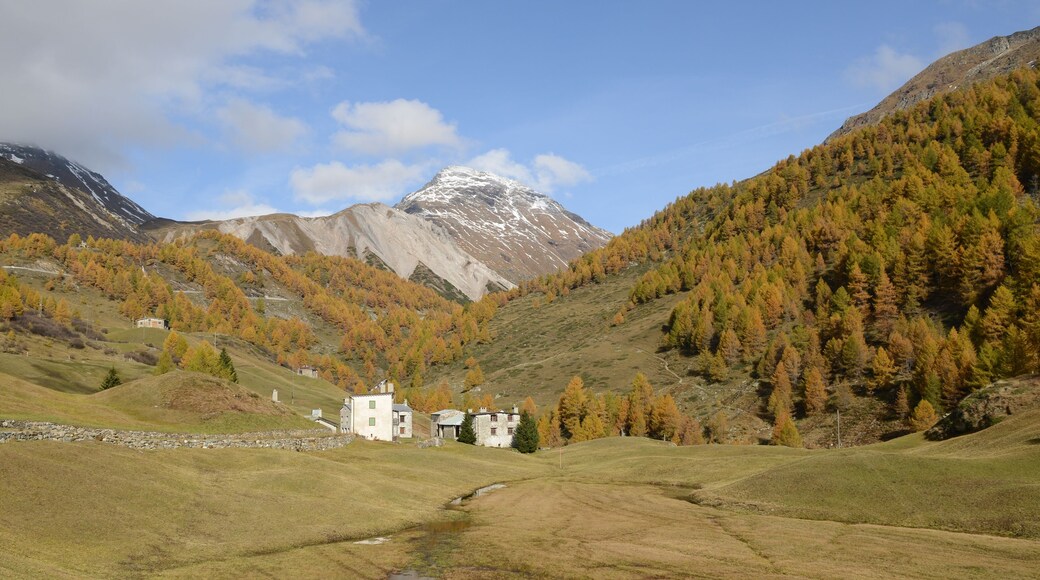 Li Mason auf 1947m an der Hauptstrasse 29 zum Berninapass. Im oberen Bildteil sieht man die Passhöhe der Forcola di Livigno, sie mündet links in die Hauptstrasse 29. Die Lärchenwälder verfärben sich goldgelb, nachdem sie in die Saftruhe gekehrt sind.