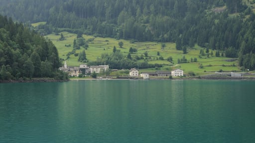 Switzerland, Graubünden, impressions along Lago di Poschiavo