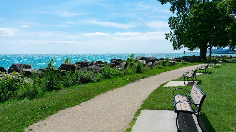 A coastal park with a paved path, benches, and a large tree.
