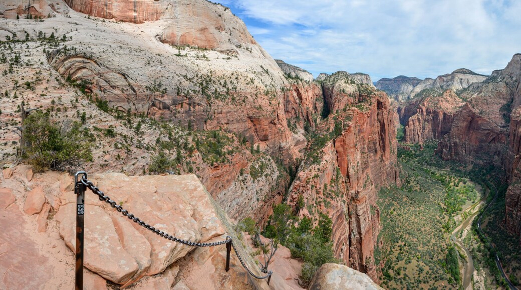 top view from angels landing trail in zion national park, panoramic picture
