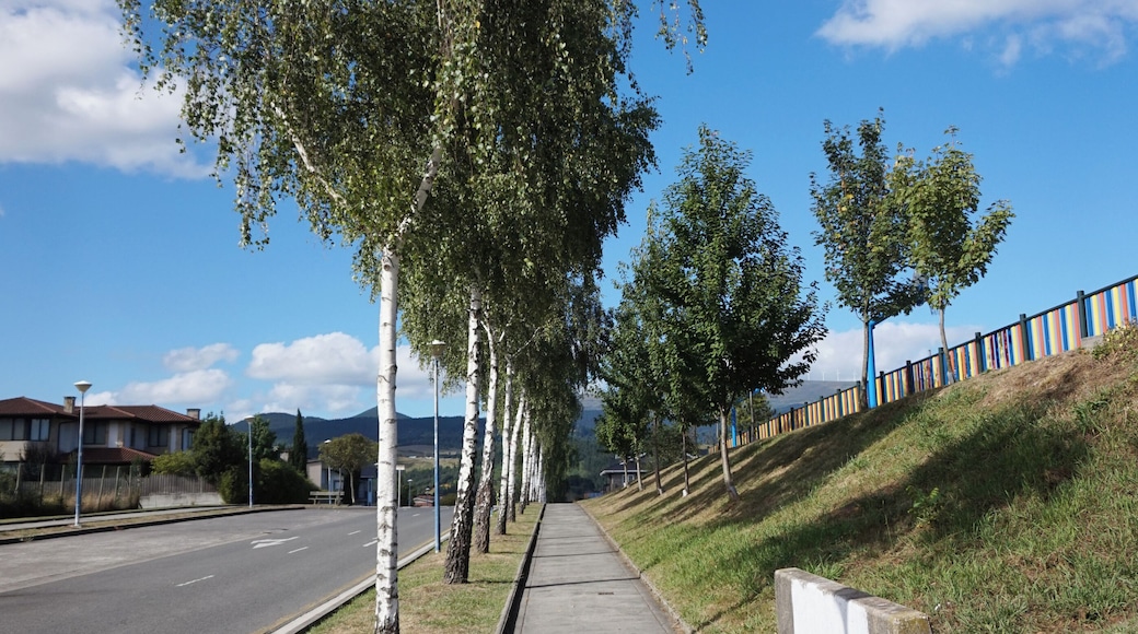 The street Urki Kalea in Durango, Spain.