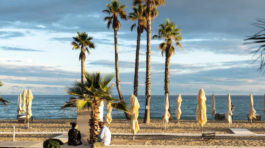 Beach in Vendrell, Spain. 092221 :sunset in paradisiacal mediterranea beach