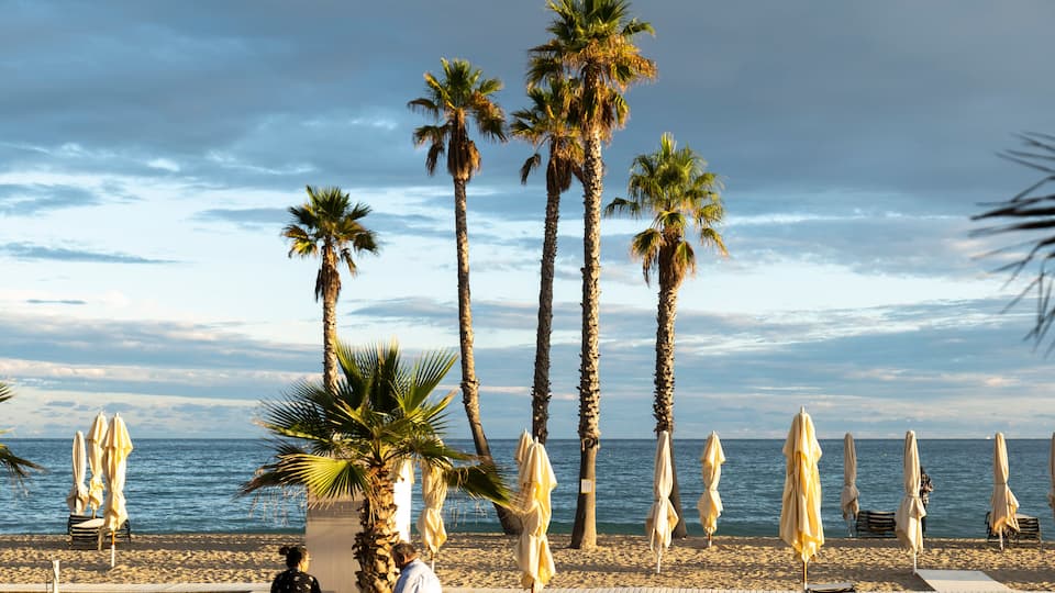 A beach with palm trees, umbrellas, and a calm sea under a cloudy sky.