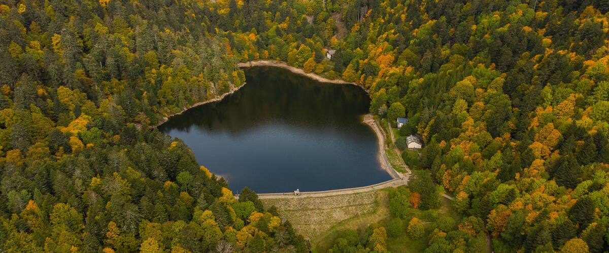 A lake surrounded by dense forest with autumn foliage.