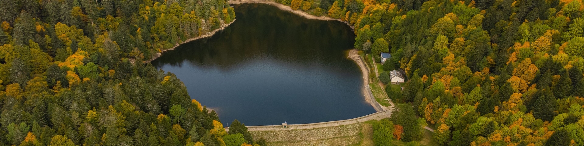A lake surrounded by dense forest with autumn foliage.