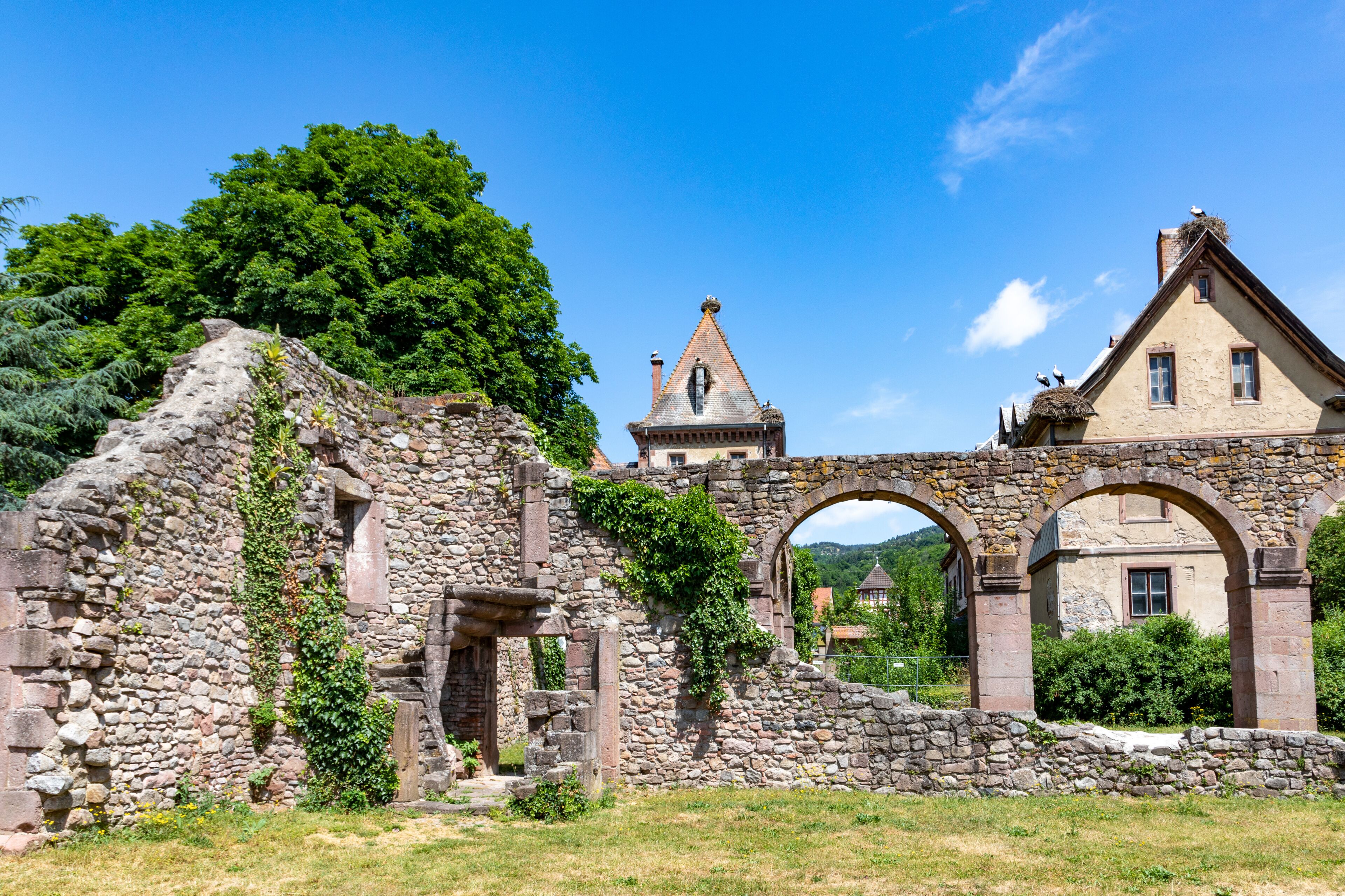 Ruins of the abbey cloister in Munster, Alsace,France