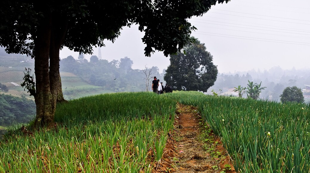 ์น์์ถ๋ฅด