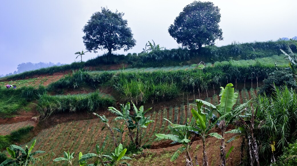 ์น์์ถ๋ฅด