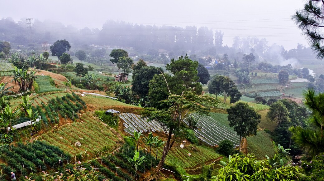 ์น์์ถ๋ฅด