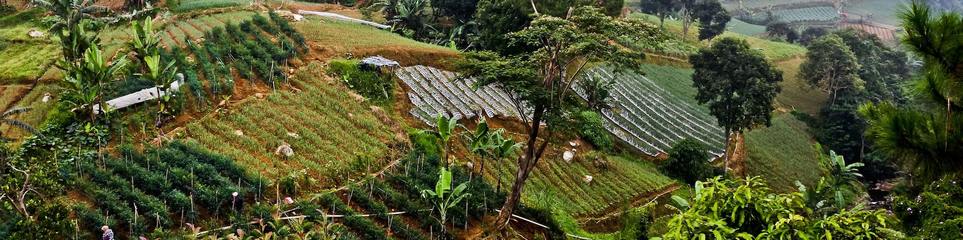 Natural scenery of peaceful village life in Cianjur, West Java. Indonesia.
Plantations, farms, houses and large lands are beautiful spots for photos