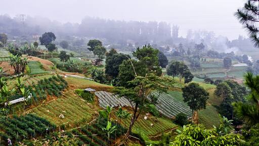 Natural scenery of peaceful village life in Cianjur, West Java. Indonesia.
Plantations, farms, houses and large lands are beautiful spots for photos