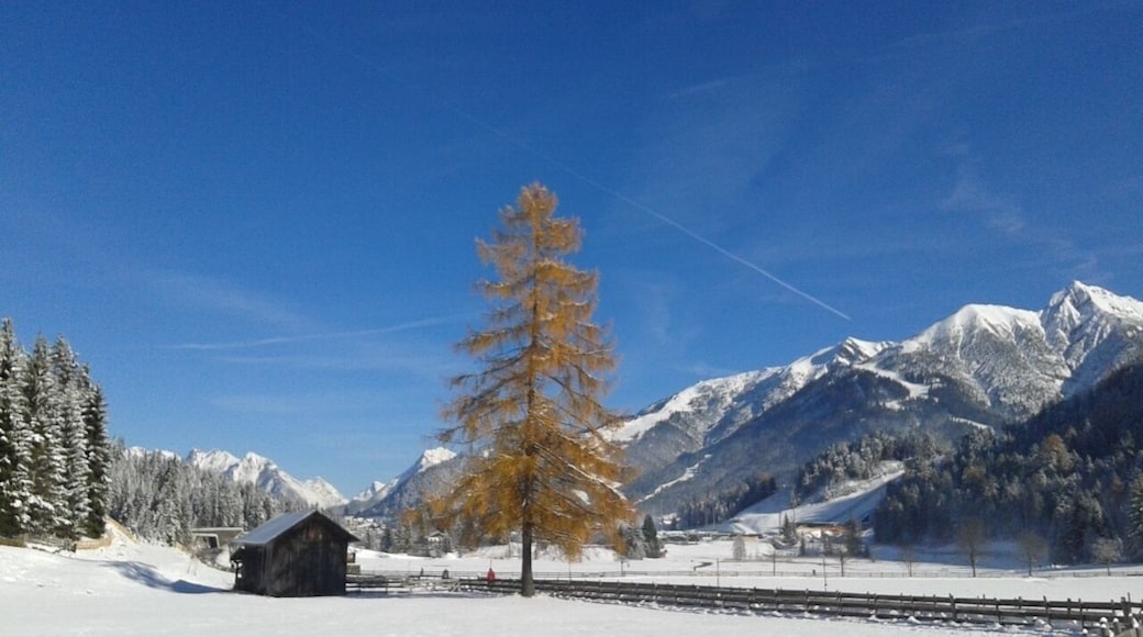 Loved Innsbruck so much when I visited two years ago and knew I had to come back and explore more of the Tyrolean region. Was thrilled to see This Battered Suitcase's recent coverage of the spot where this photo was taken. Decided to make a trip here solely based on her post and photos (https://www.thisbatteredsuitcase.com/olympiaregion-seefeld-most-beautiful-place-austria/). Did not disappoint! Already planning a trip back for more cross country skiing and hiking adventures #seefeld #tirol #troveon