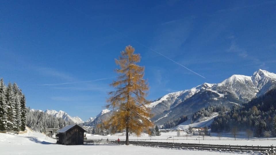 A snow-covered landscape with a wooden cabin, a leafless tree, and snow-capped mountains under a clear blue sky.