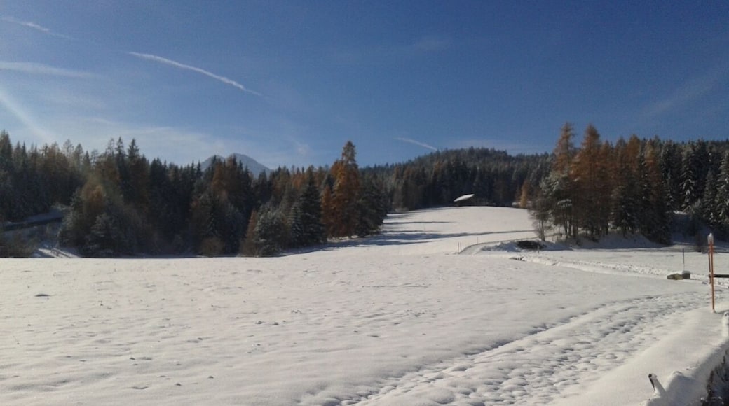 Still daydreaming about Seefeld and already planning a trip back! Seefeld In Tirol is an easy s bahn ride from Innsbruck and has a fantastic network of walking, hiking and cross country trails #seefeld #tirol #troveon