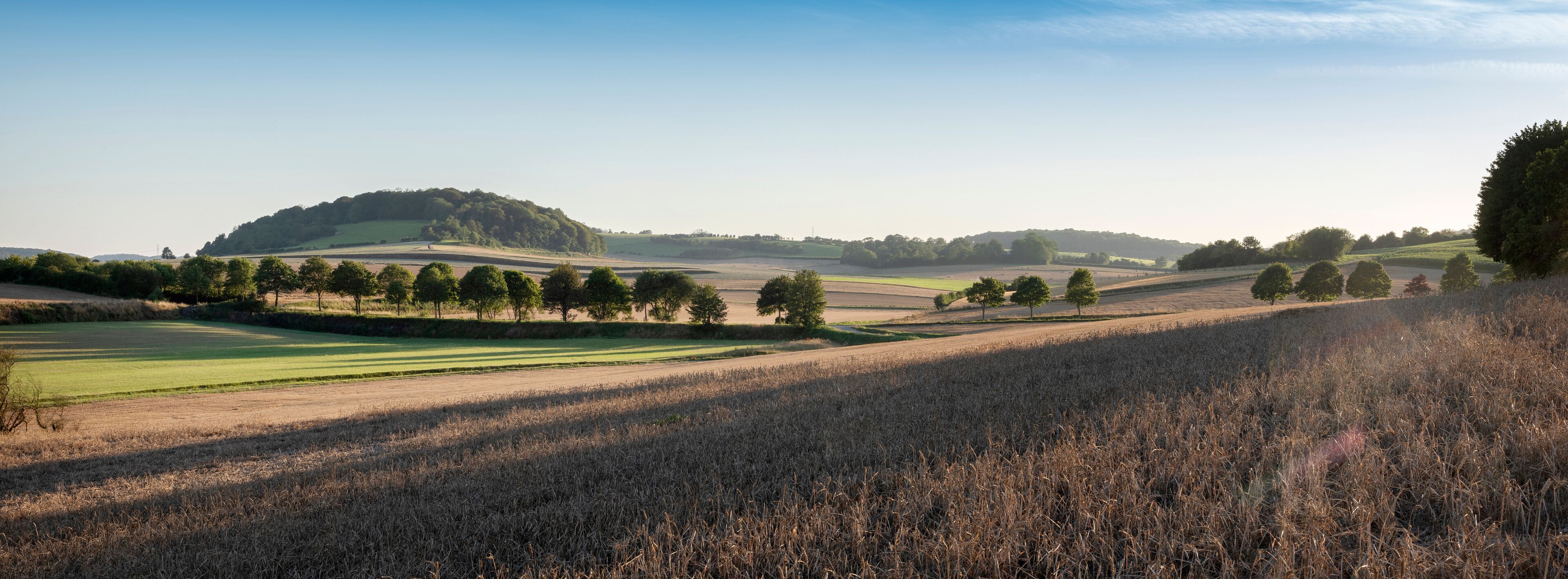 A rural landscape with rolling hills, fields, and scattered trees.