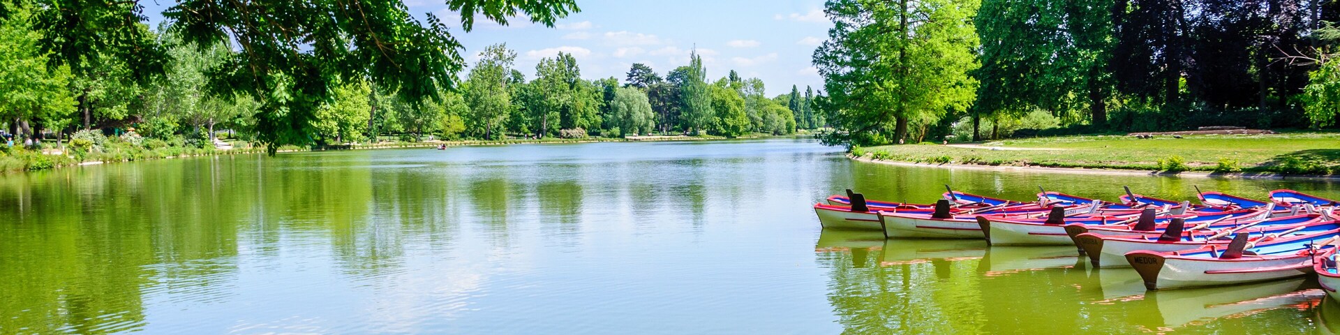 Un río tranquilo con barcos amarrados a la derecha, rodeado de frondosos árboles verdes y un cielo azul despejado.