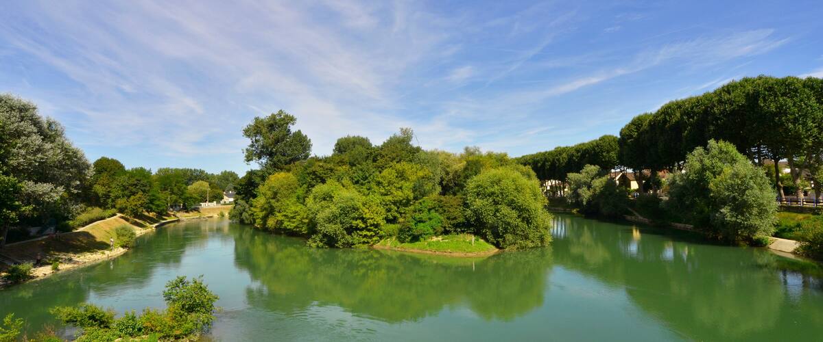 A river surrounded by lush greenery and trees.