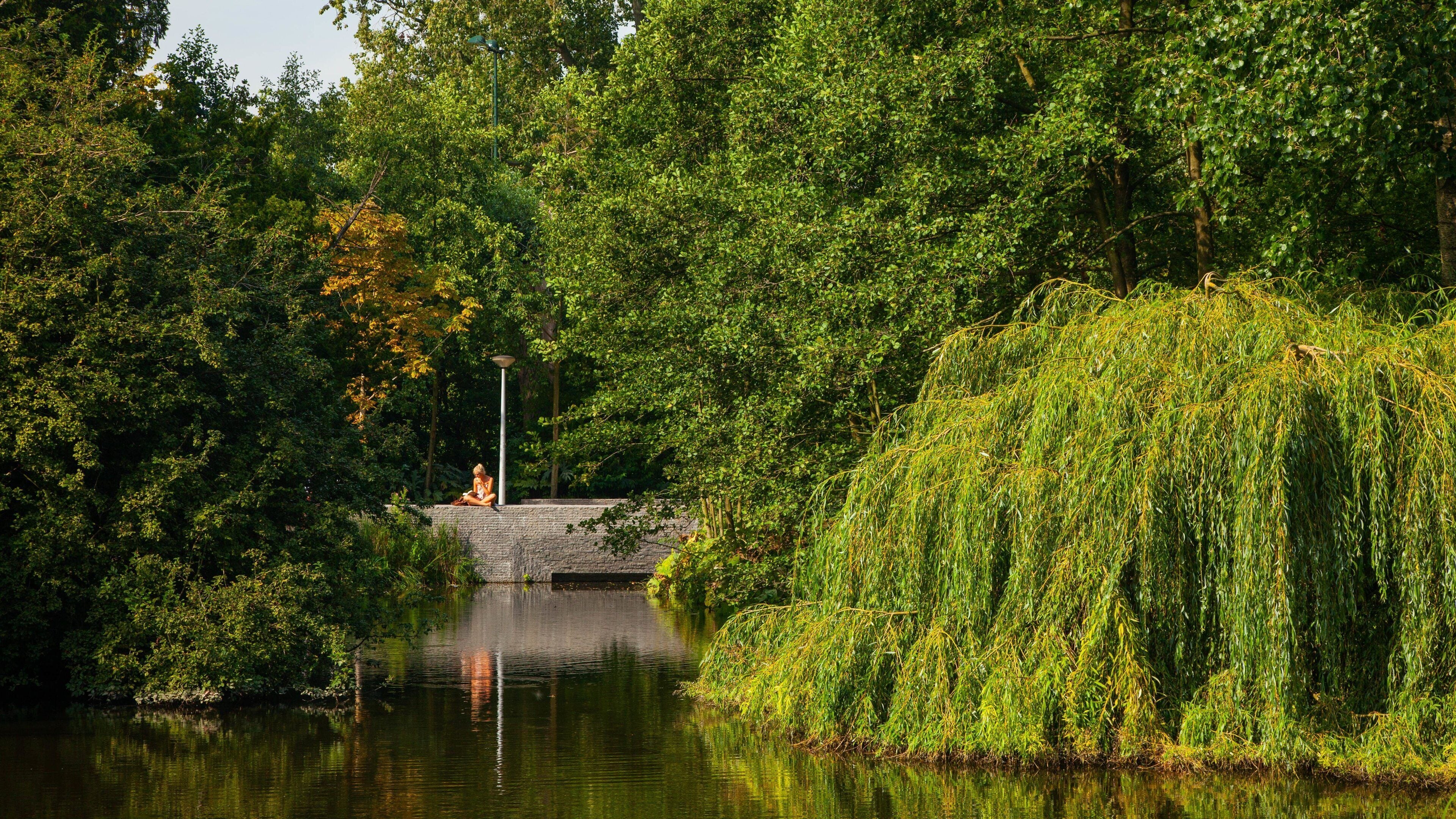 Vondelpark featuring a river or creek