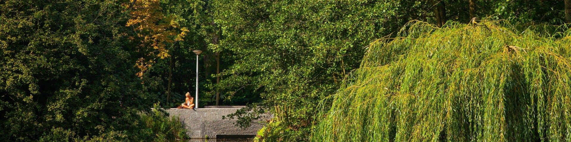 Vondelpark featuring a river or creek