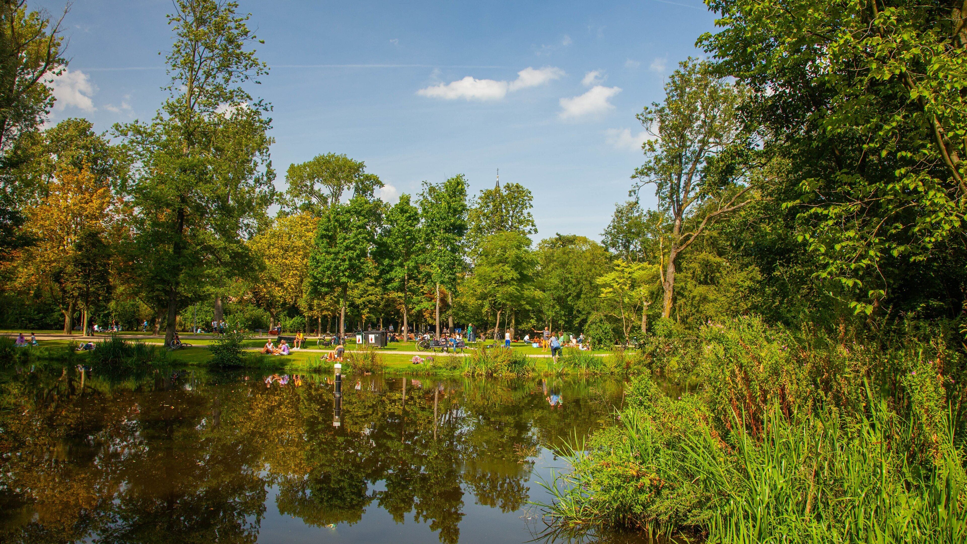 Vondelpark featuring a pond