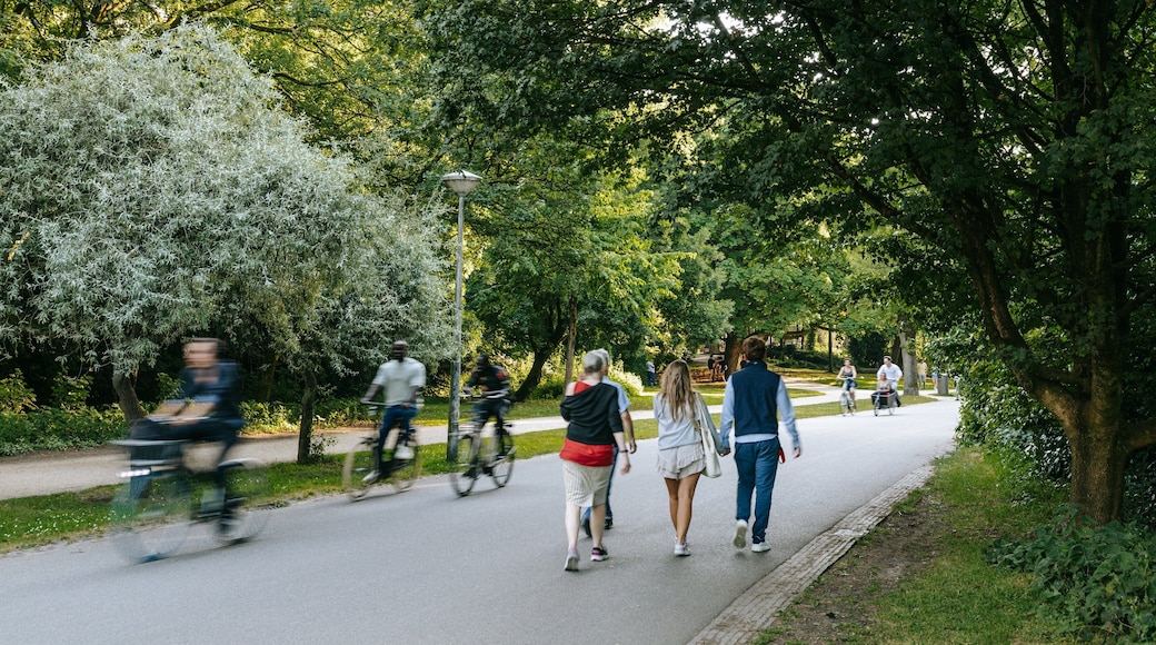 Vondelpark which includes a park as well as a small group of people