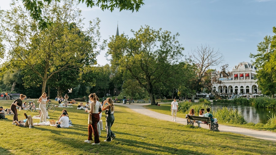 Vondelpark featuring picnicing and a garden as well as a small group of people