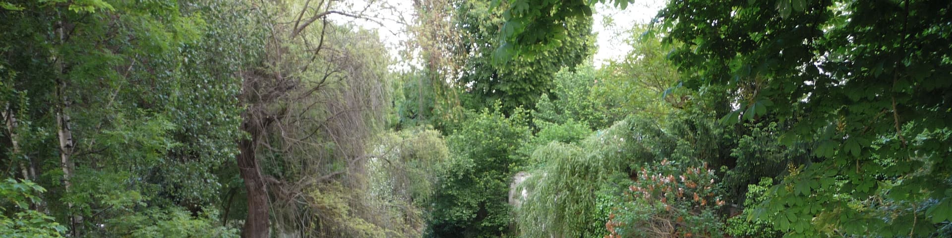 Marne river at Joinville-le-Pont