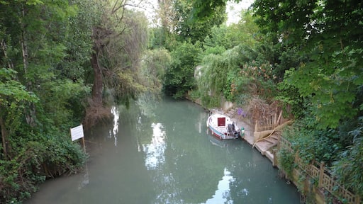 Marne river at Joinville-le-Pont