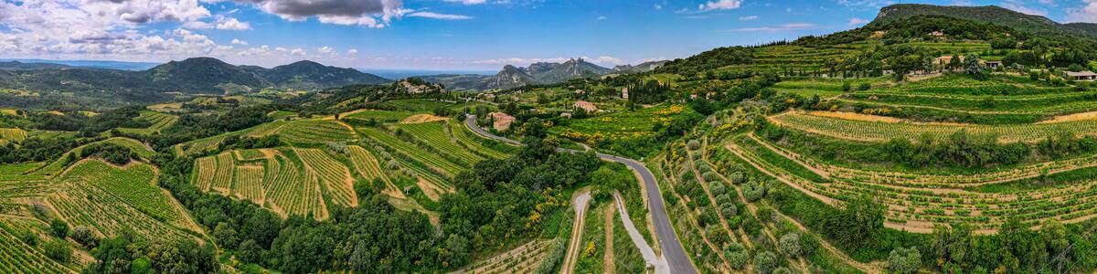 Aerial panoramic view of the vineyard in the Côtes du Rhône at the base of the Mont Ventoux beside les Dentelles de Montmirail