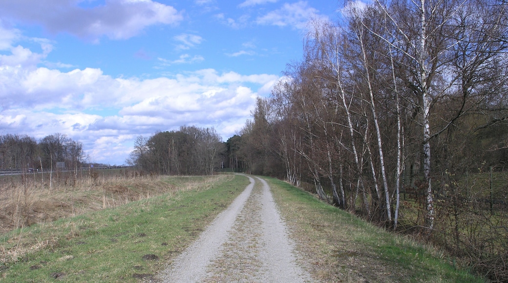 Barnbruch 04.04.2010