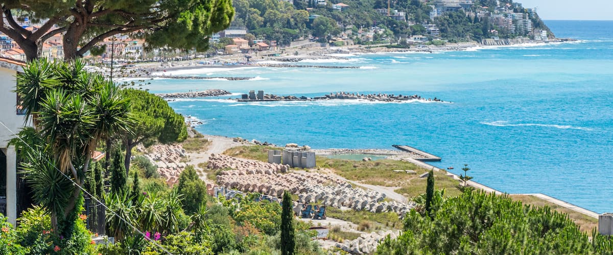 A coastal landscape with a prominent tree, rocky shoreline, and buildings on a hillside.